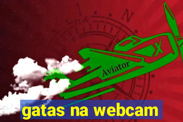 gatas na webcam